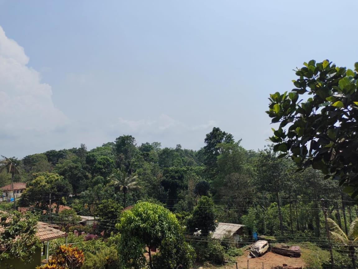 Green Land Estate Homestay 5 Rooms With Garden View Madikeri Dış mekan fotoğraf