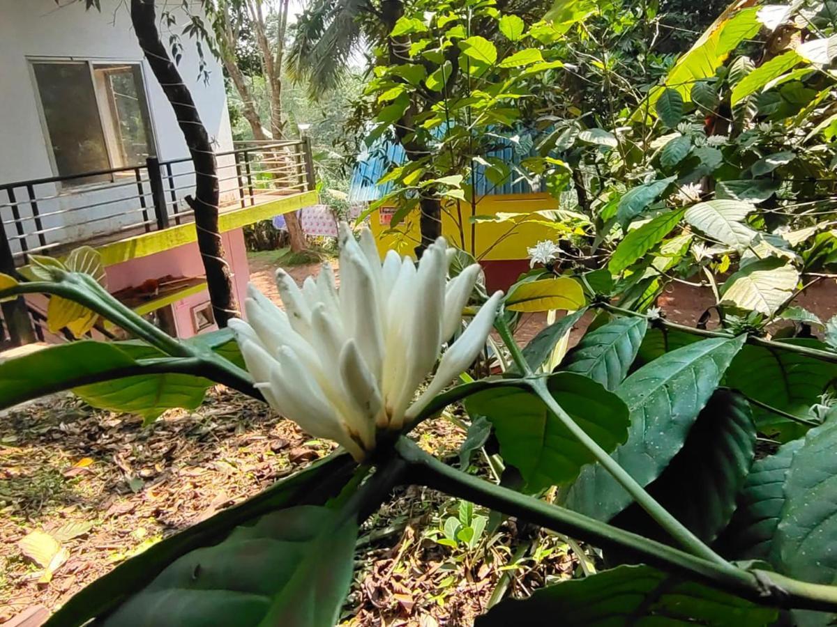 Green Land Estate Homestay 5 Rooms With Garden View Madikeri Dış mekan fotoğraf