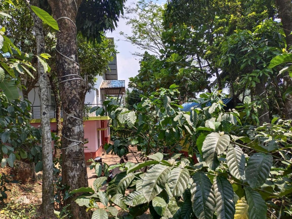 Green Land Estate Homestay 5 Rooms With Garden View Madikeri Dış mekan fotoğraf
